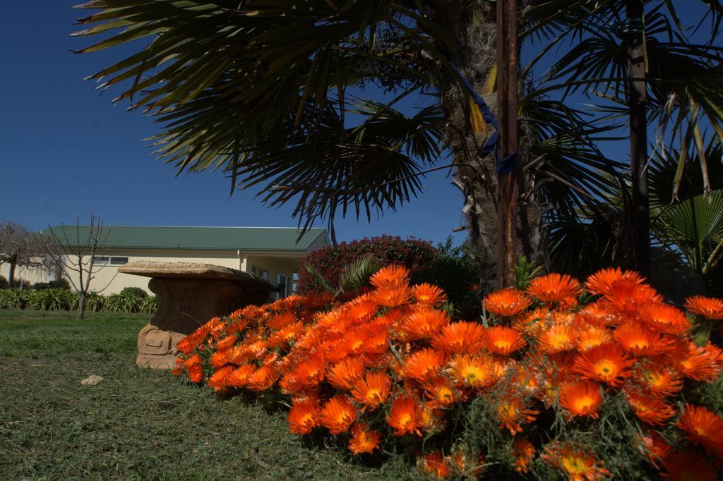Milawa Muscat Retreat B&B ภายนอก รูปภาพ